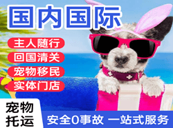 林芝米林国际宠物托运 【国